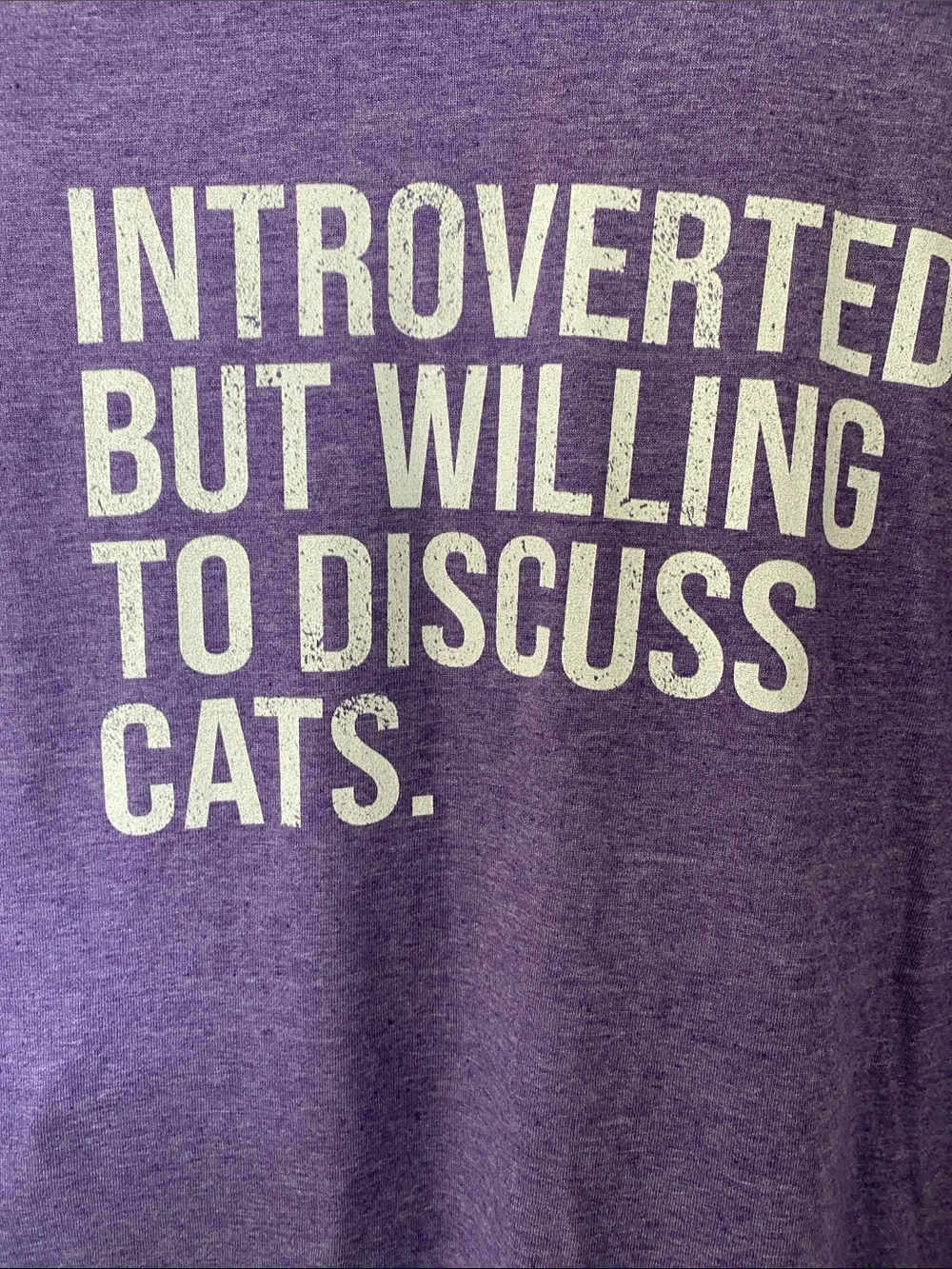 Gildan Purple Tee with White 'Introverted But Willing To Discuss Cats' Print